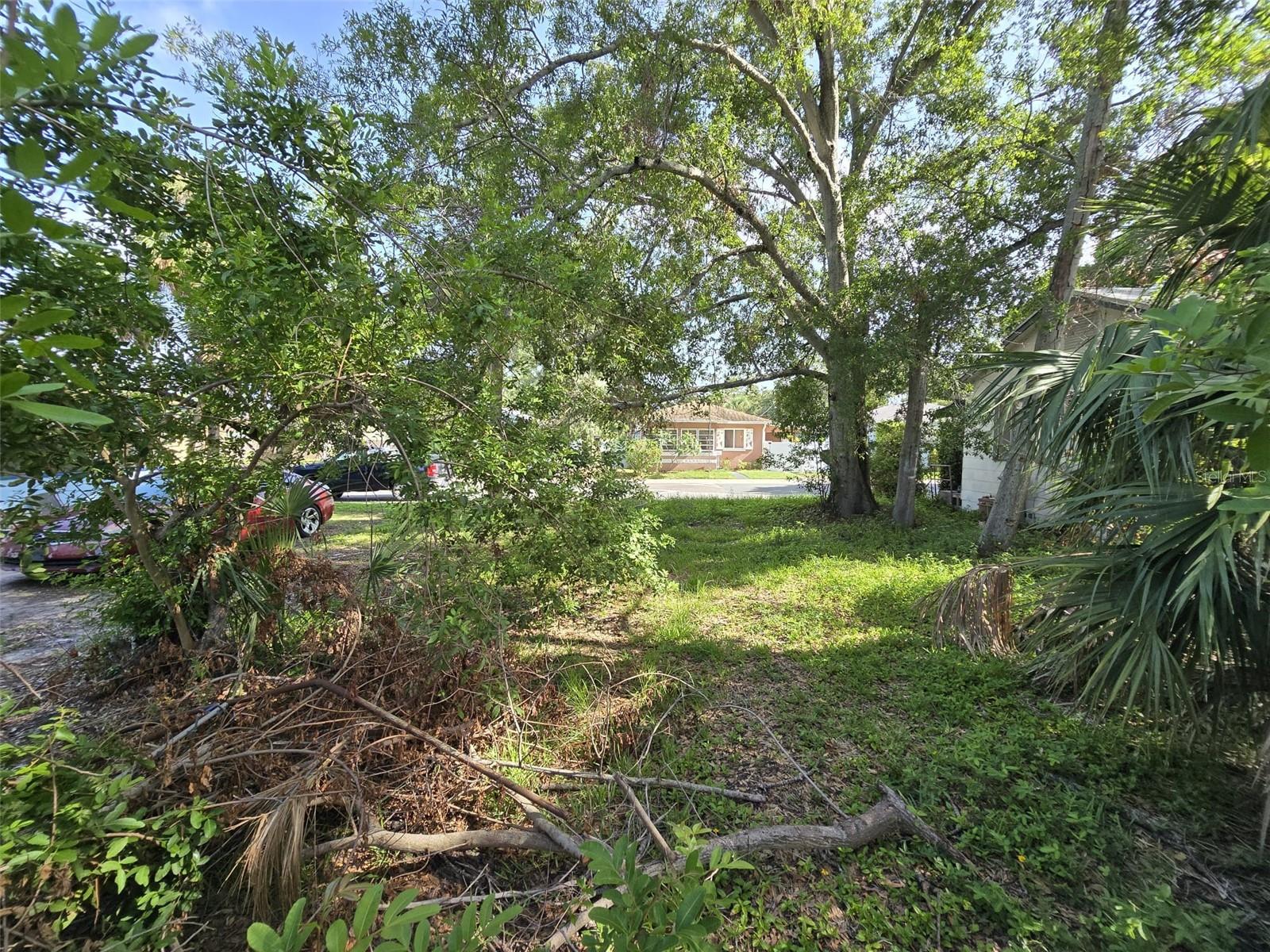 Image 4 of 21 For Paris Avenue S