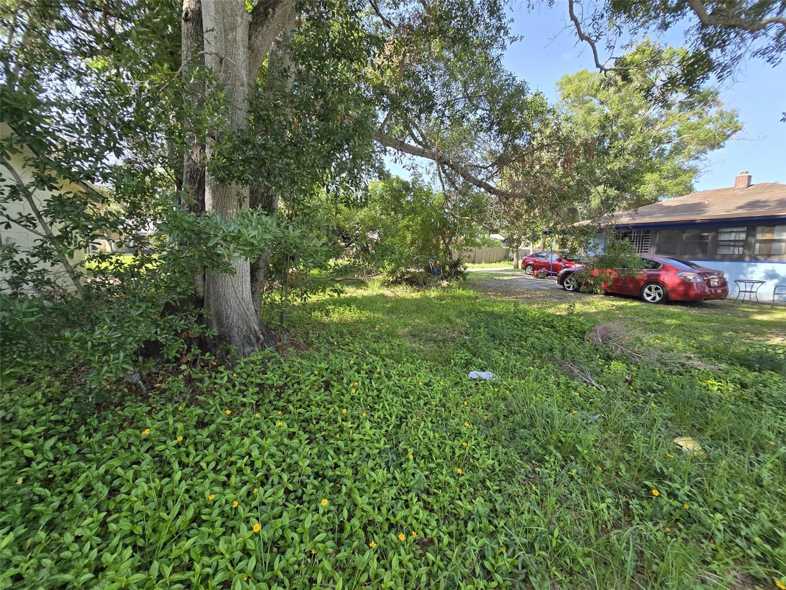 Image 5 of 21 For Paris Avenue S