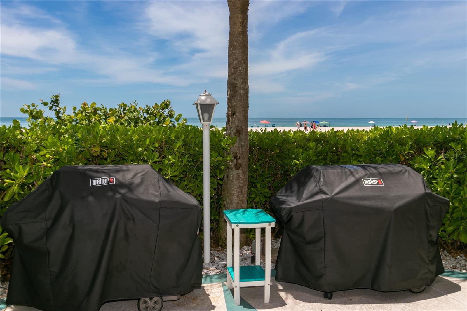 Image 34 of 51 For 1380 Gulf Boulevard 805