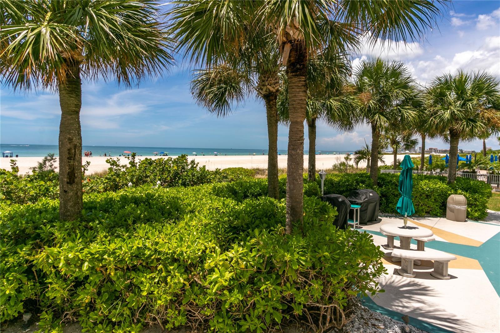 Image 45 of 51 For 1380 Gulf Boulevard 805