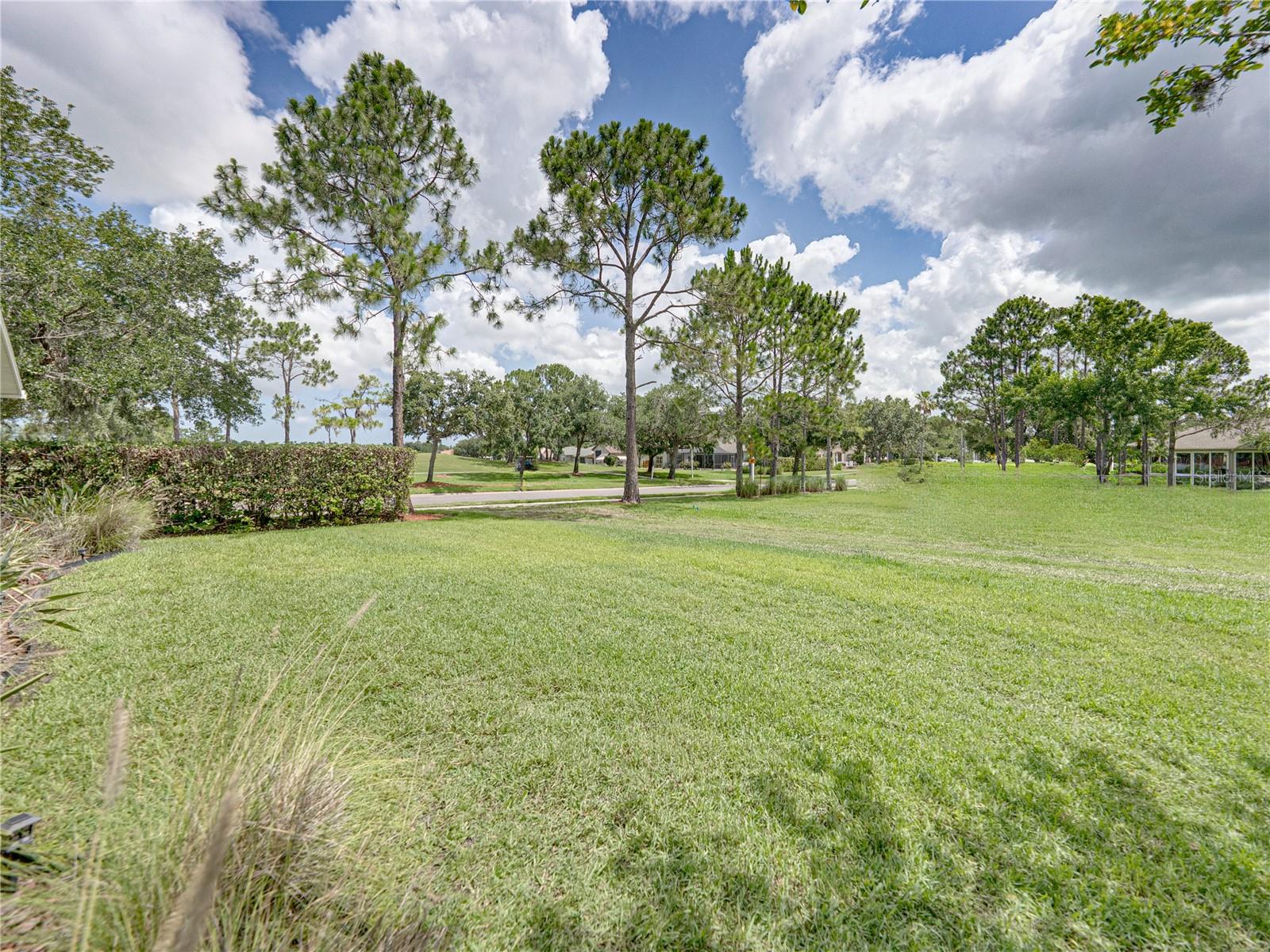 Image 39 of 74 For 1338 Winding Willow Drive