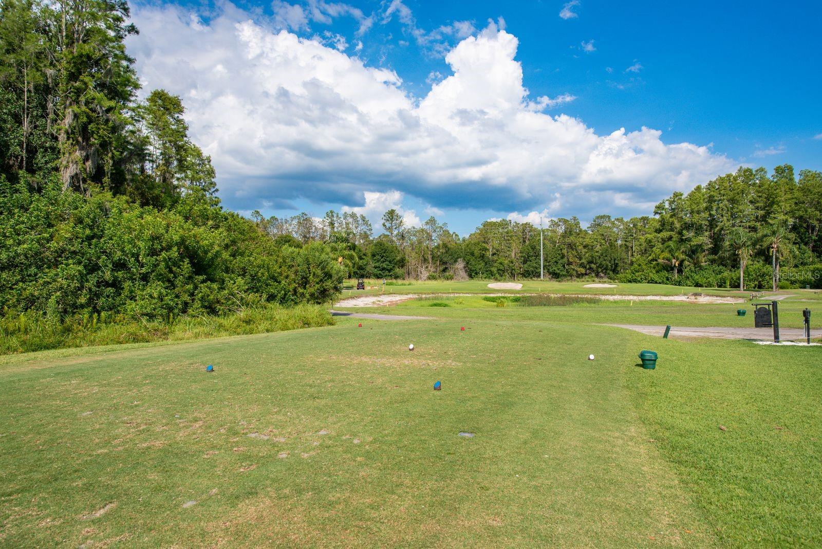 Image 47 of 53 For 3337 Crescent Oaks Boulevard