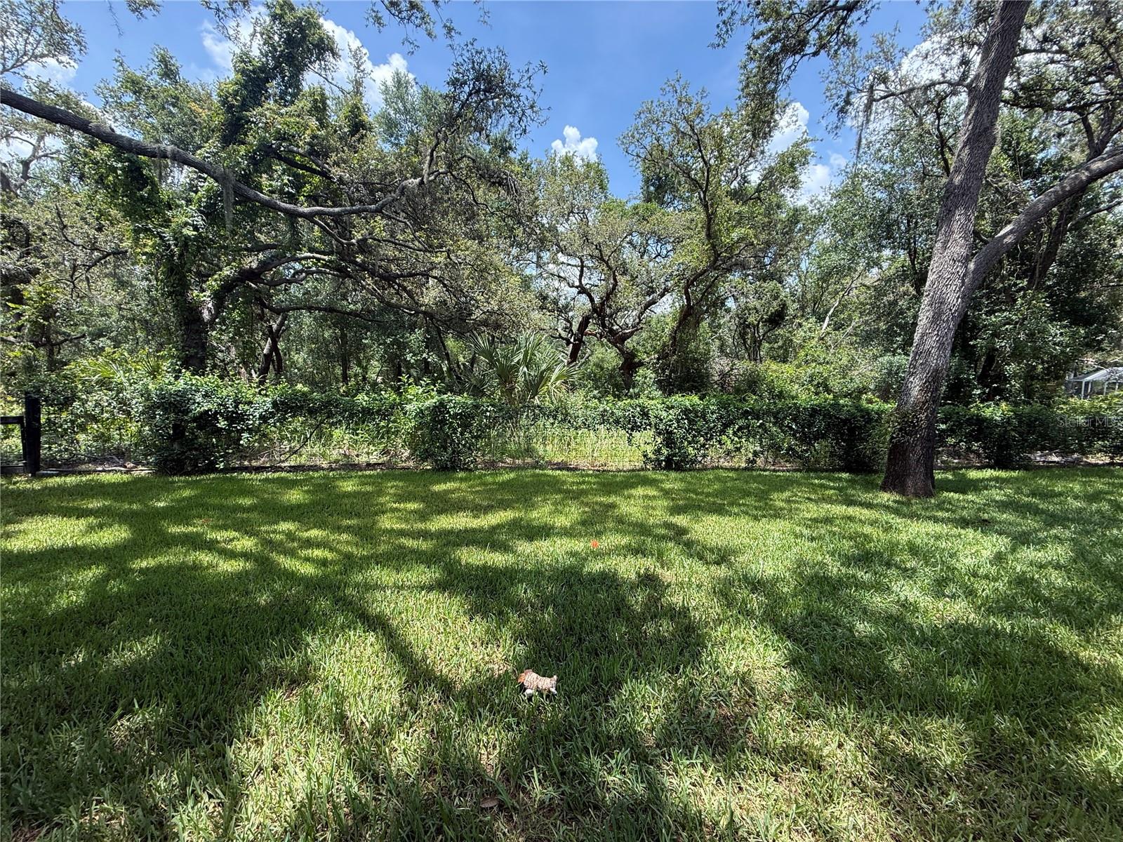 Image 50 of 53 For 15024 Eaglepark Place