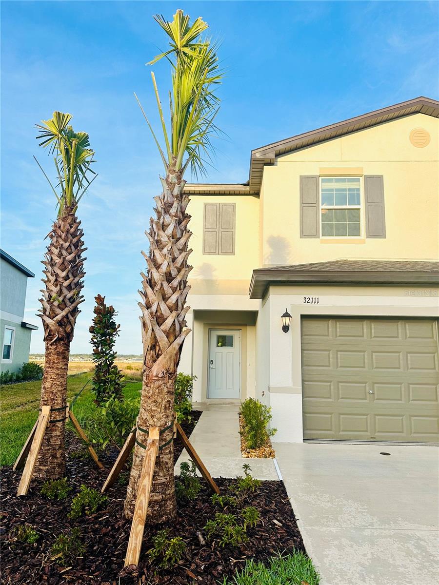 Details for 32111 Powderpuff Mimosa Drive, SAN ANTONIO, FL 33576