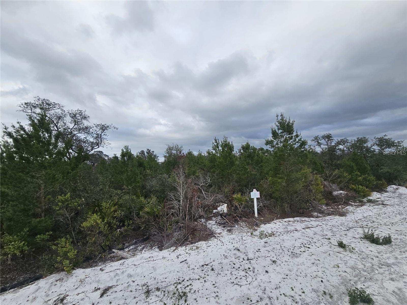 Image 6 of 22 For 0 Gaillardia Dr