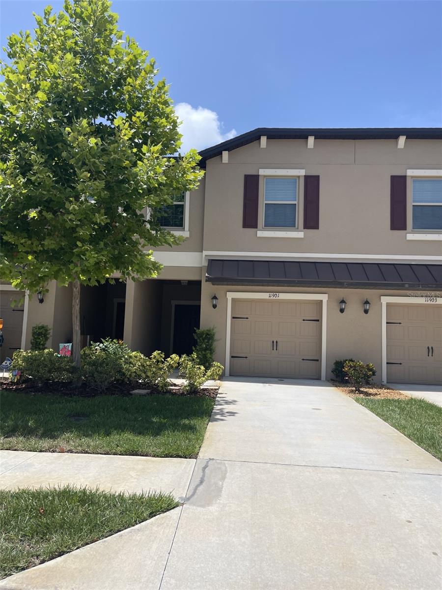 Details for 11901 Castine Street, NEW PORT RICHEY, FL 34654