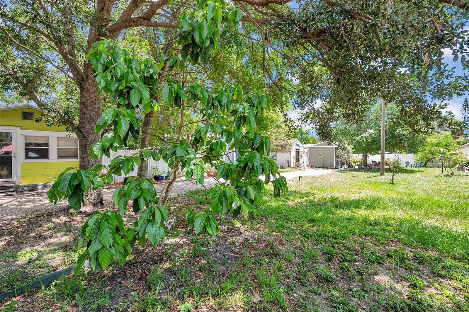 Image 9 of 36 For 3617 12th Street N