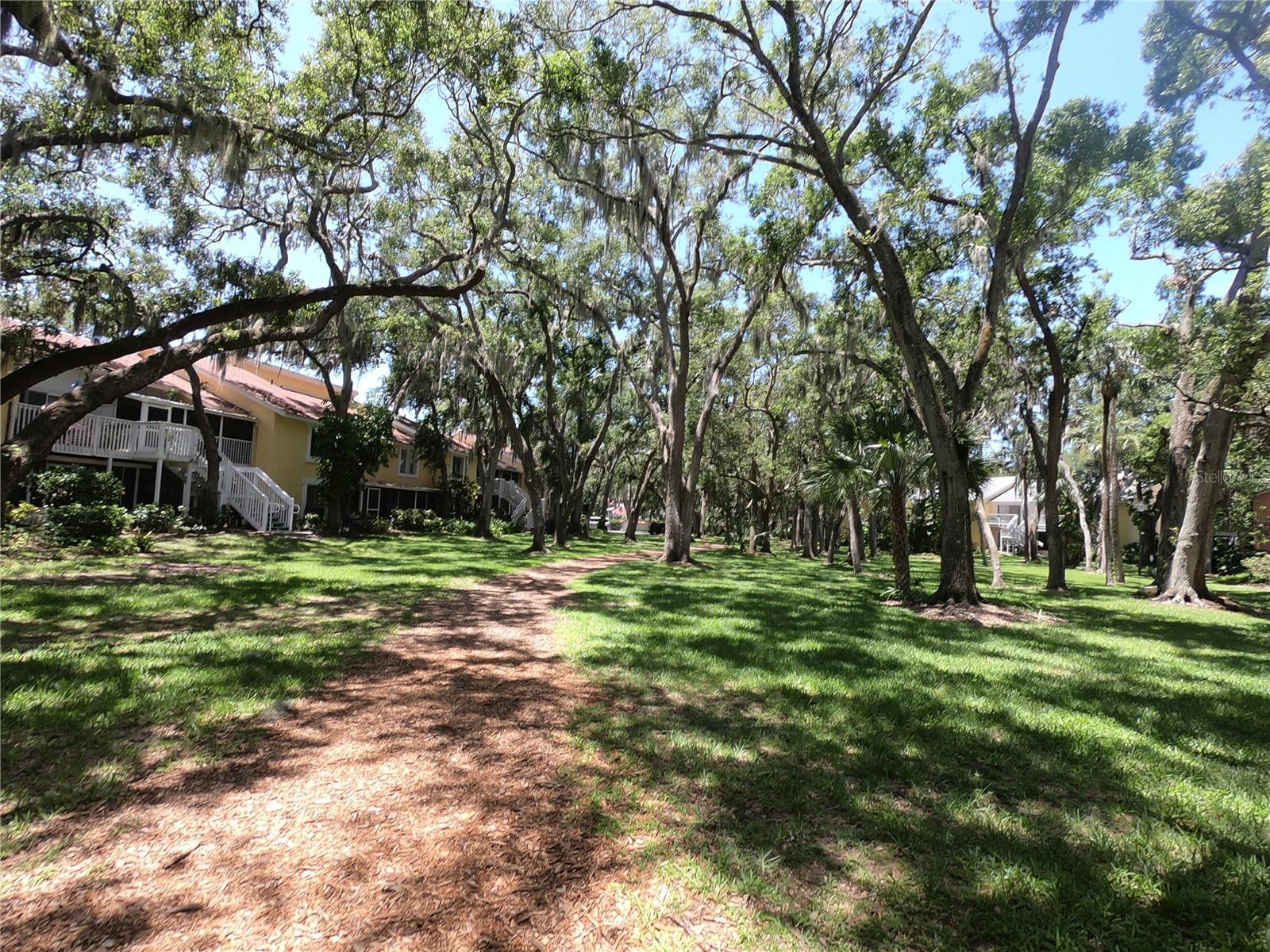 Image 60 of 66 For 3715 42nd Way S 61b