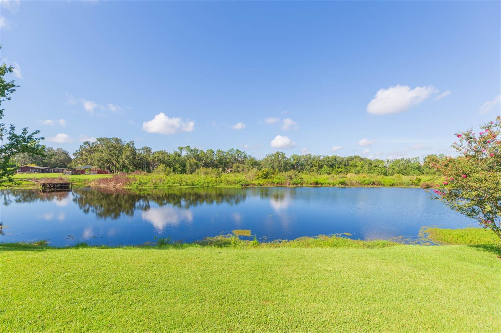Image 47 of 50 For 16502 Windsor Park Drive