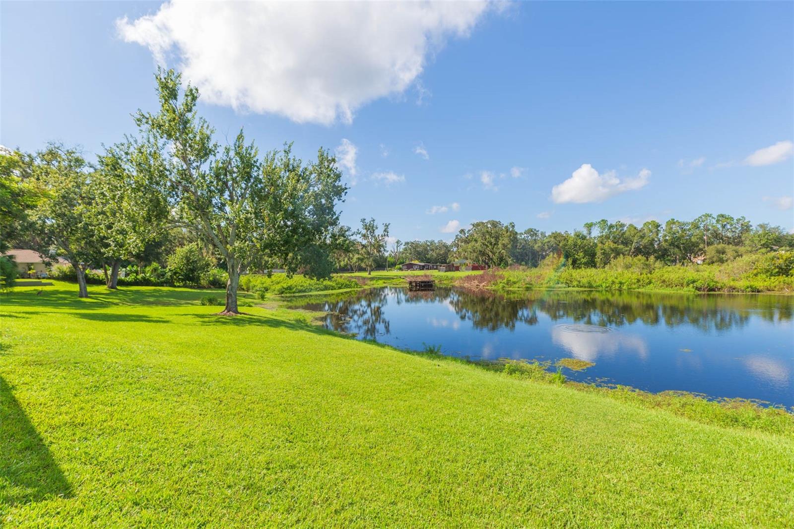 Image 48 of 50 For 16502 Windsor Park Drive