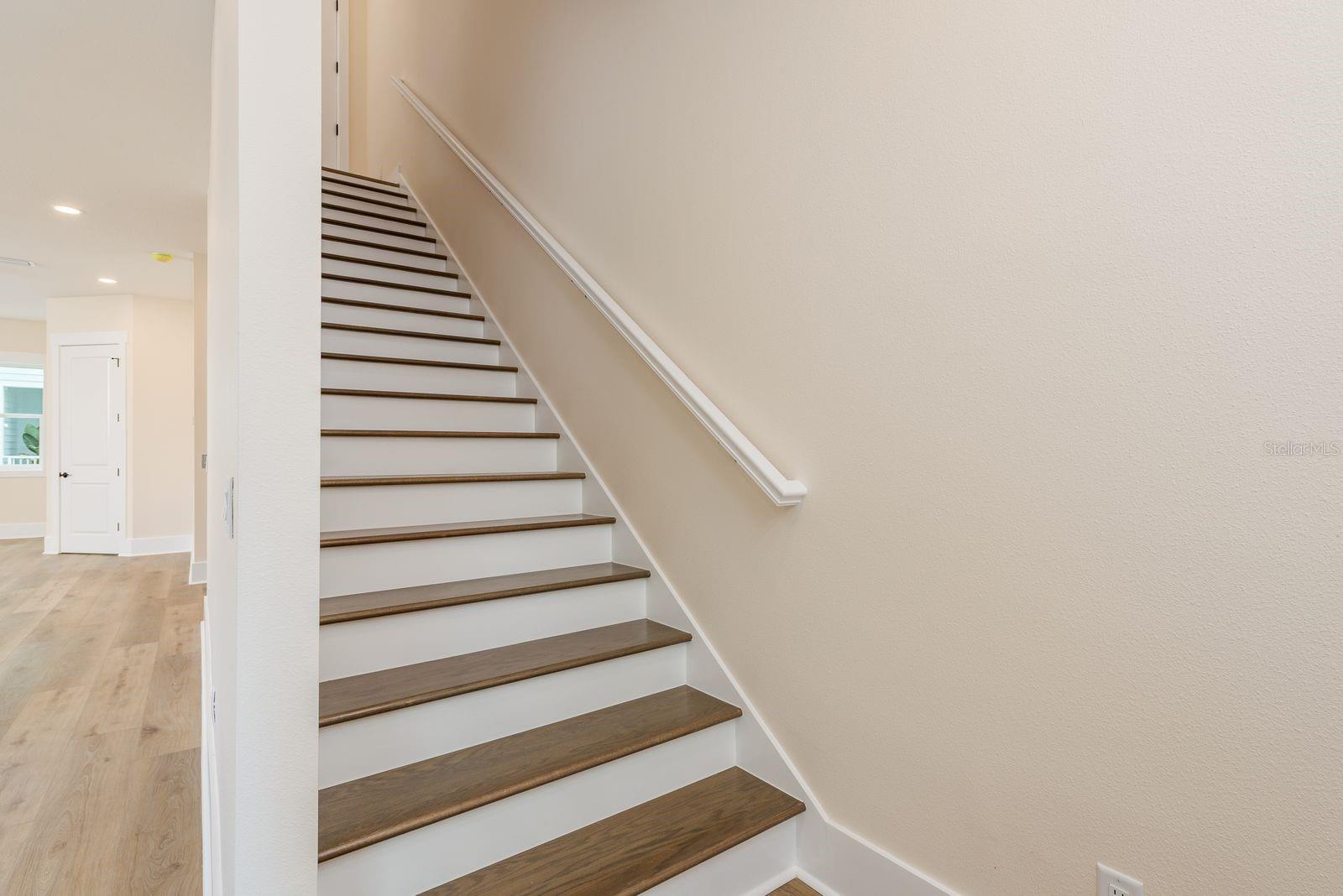 Image 18 of 44 For 1413 Bayshore Boulevard 11