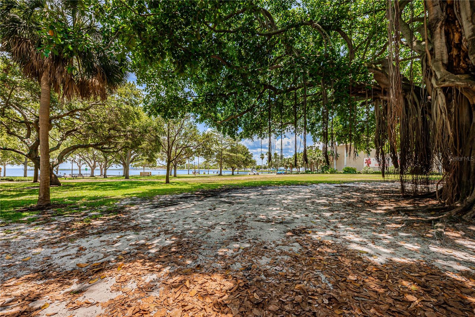 Image 83 of 100 For 841 4th Avenue N 21