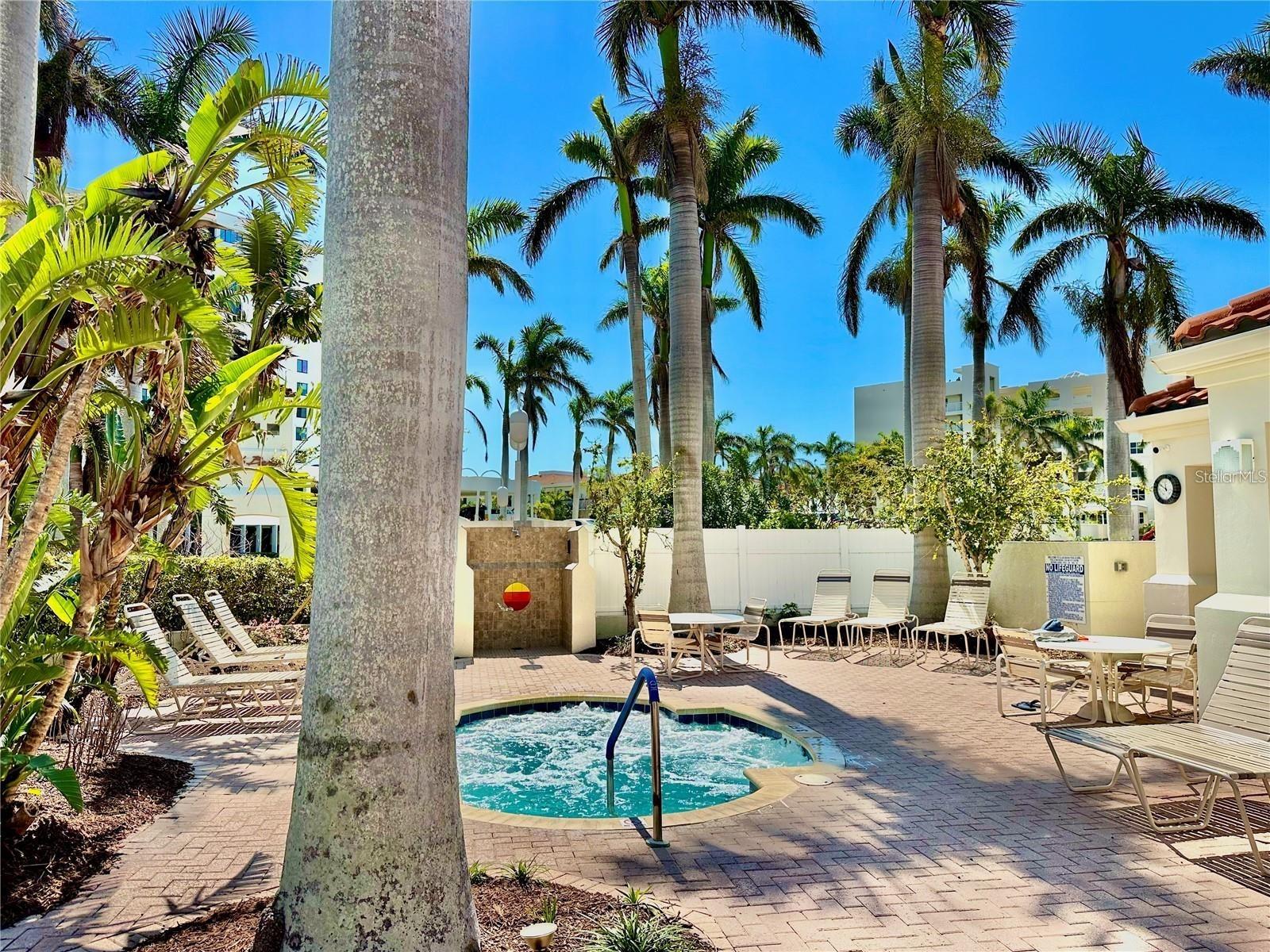 Image 27 of 37 For 6105 Bahia Del Mar Circle 682