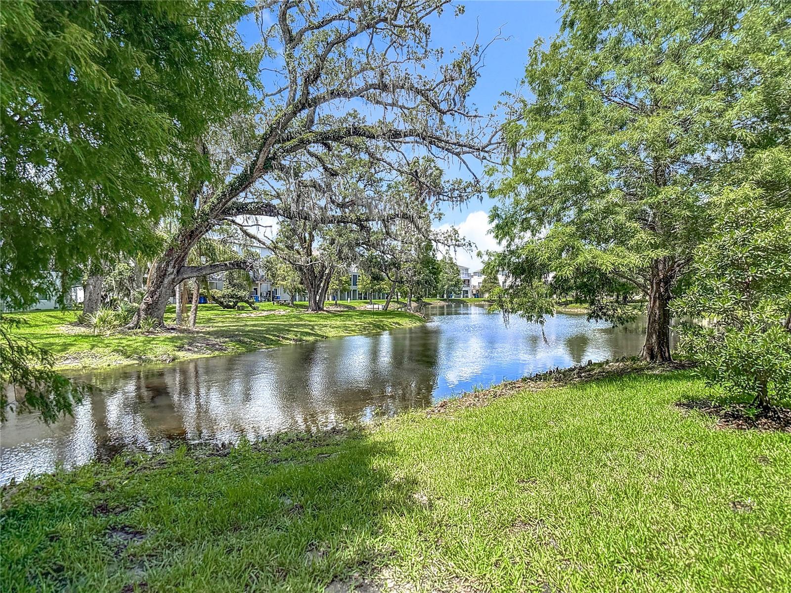 Image 4 of 69 For 4567 Tuscan Loon Drive
