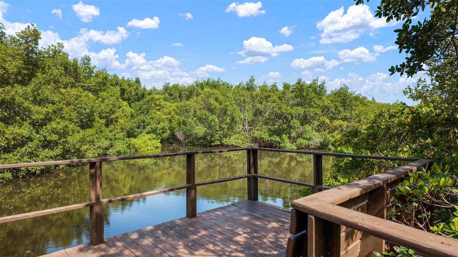 Image 42 of 46 For 2941 Lichen Lane B