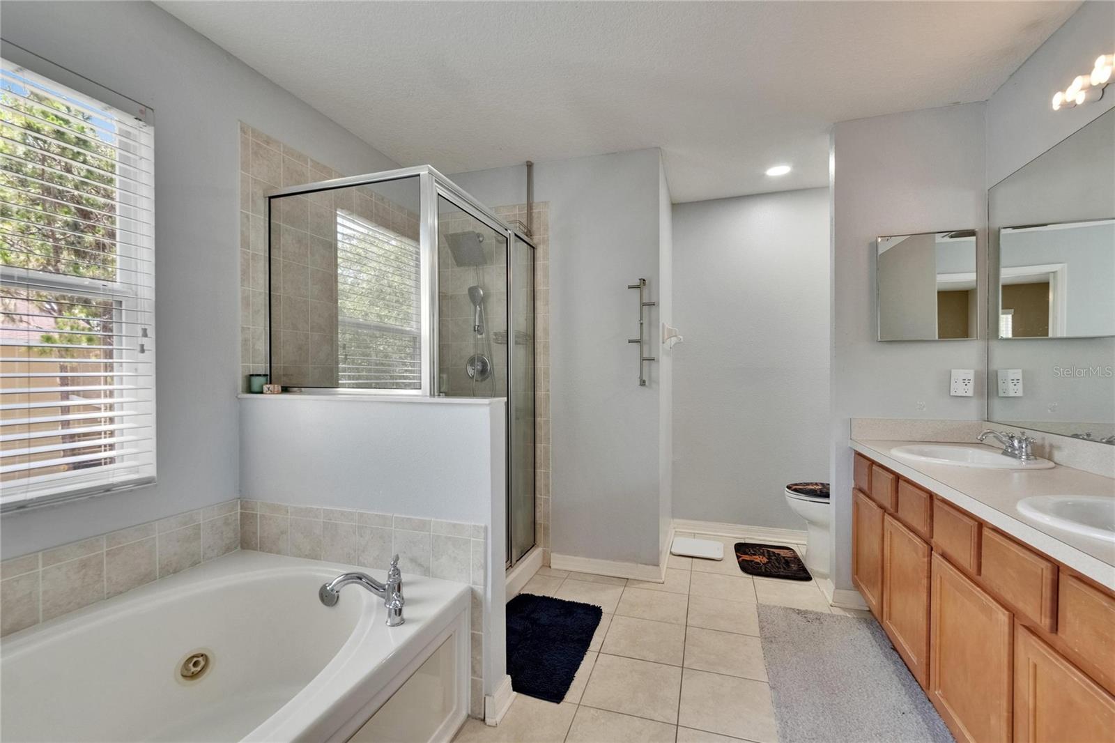 Image 42 of 51 For 10606 Shady Falls Court