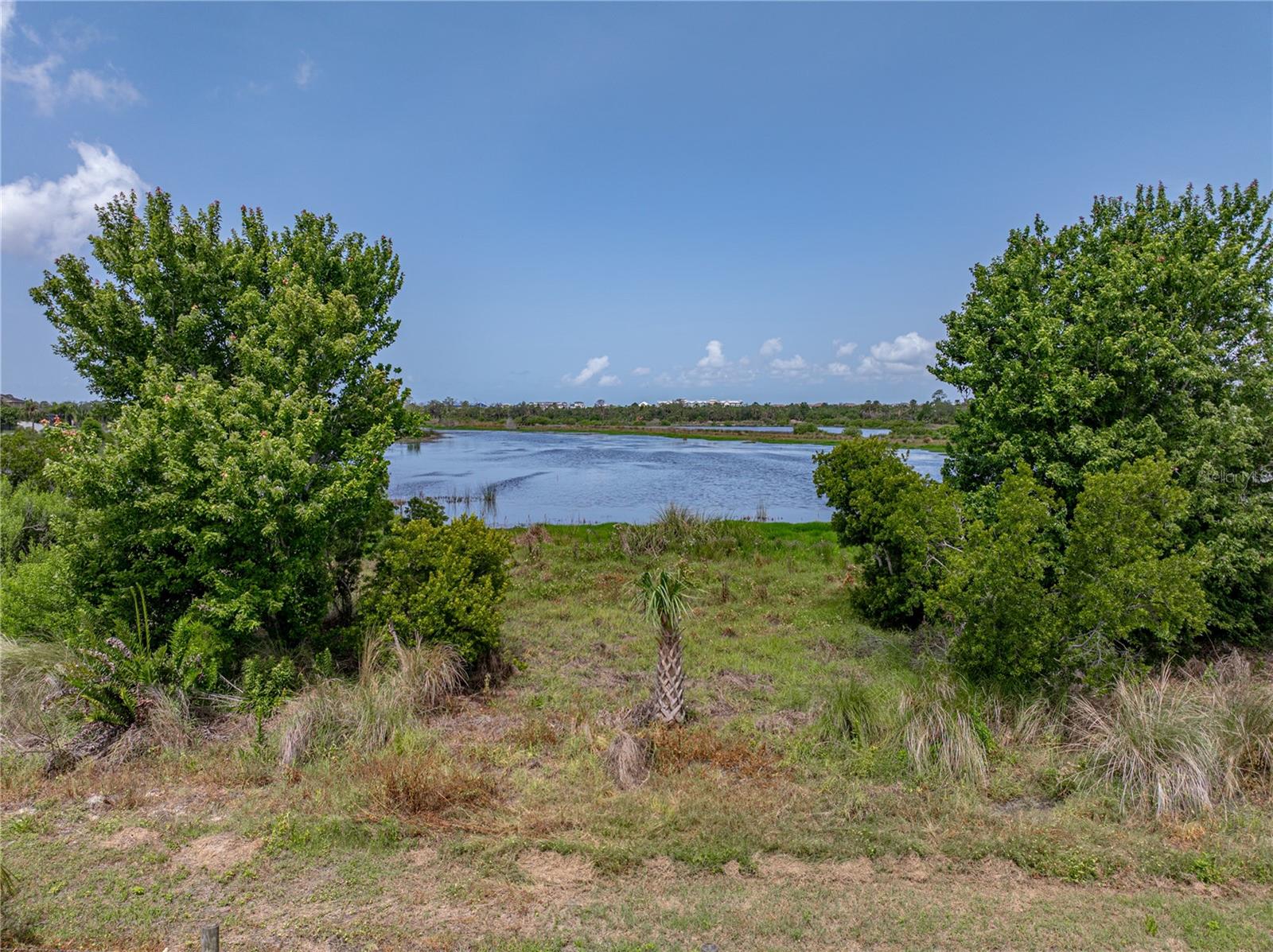 Listing photo id 64 for 1701 Bonita Bluff Court