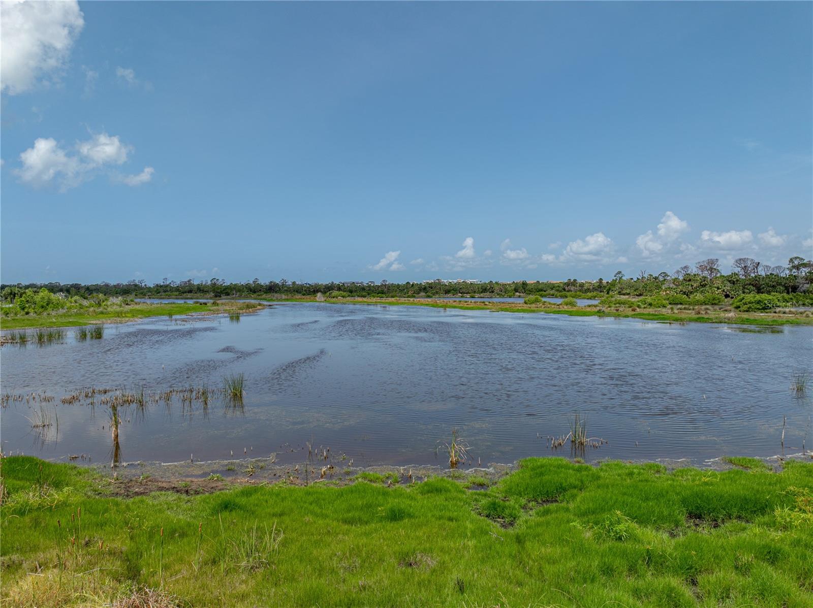 Listing photo id 65 for 1701 Bonita Bluff Court