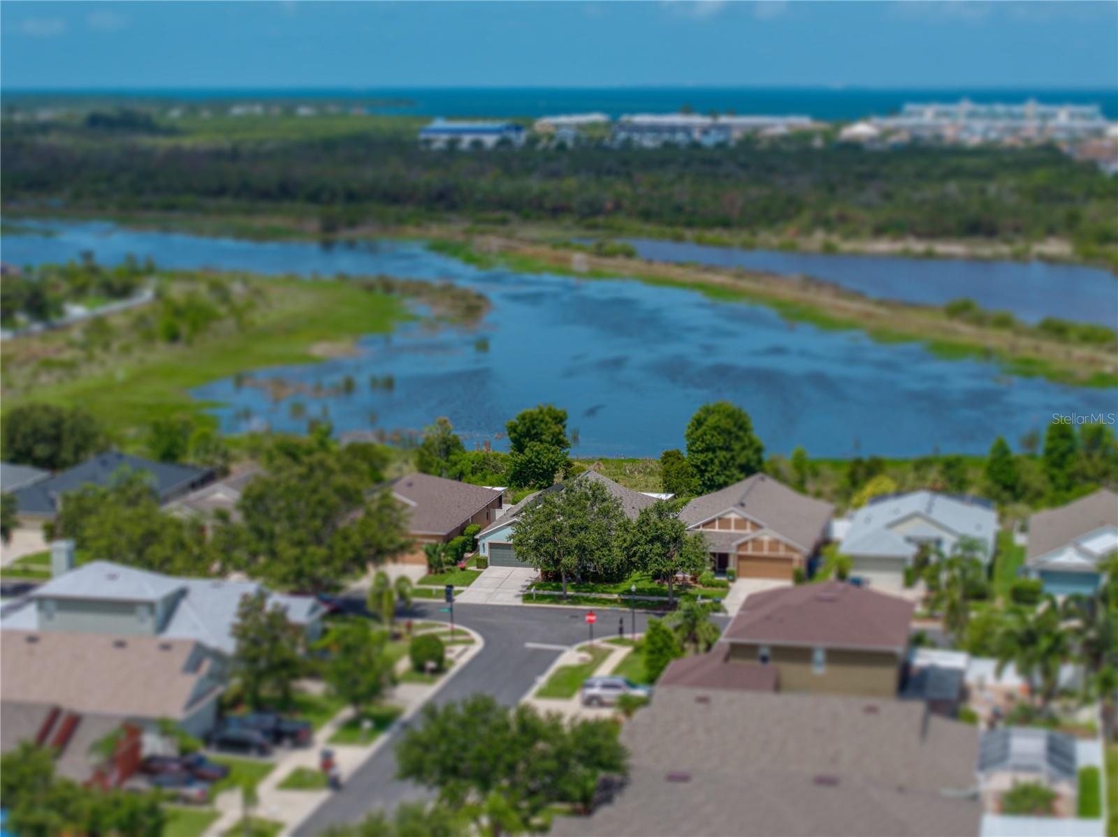 Listing photo id 72 for 1701 Bonita Bluff Court