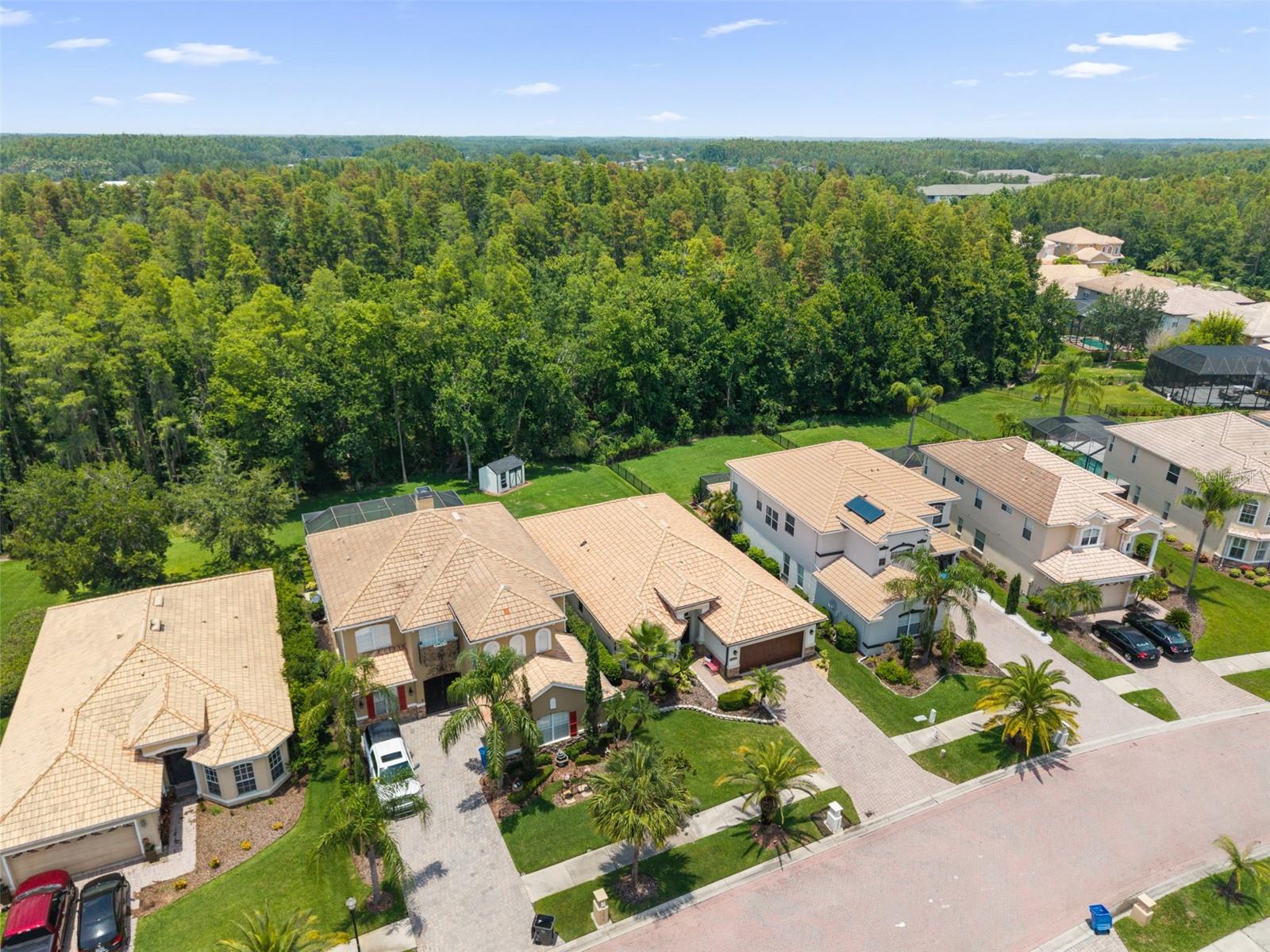 Image 42 of 66 For 10880 Cory Lake Drive
