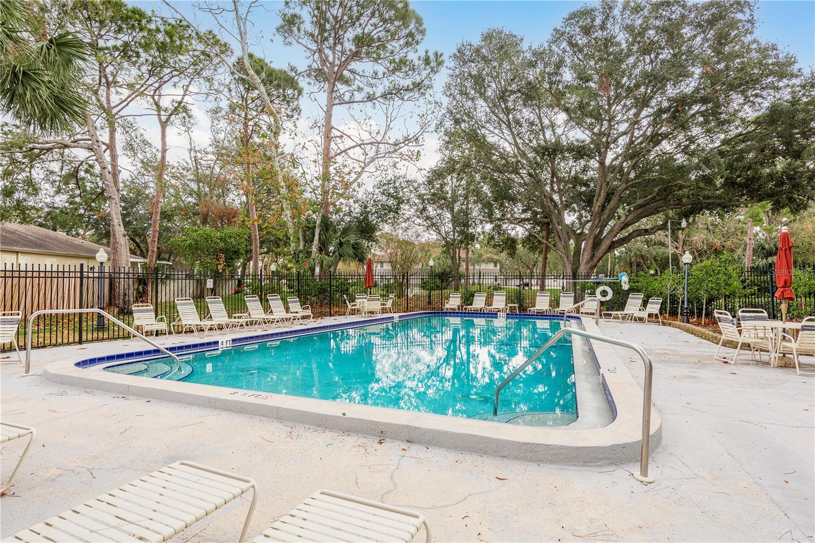 Image 46 of 48 For 2650 Countryside Boulevard C204