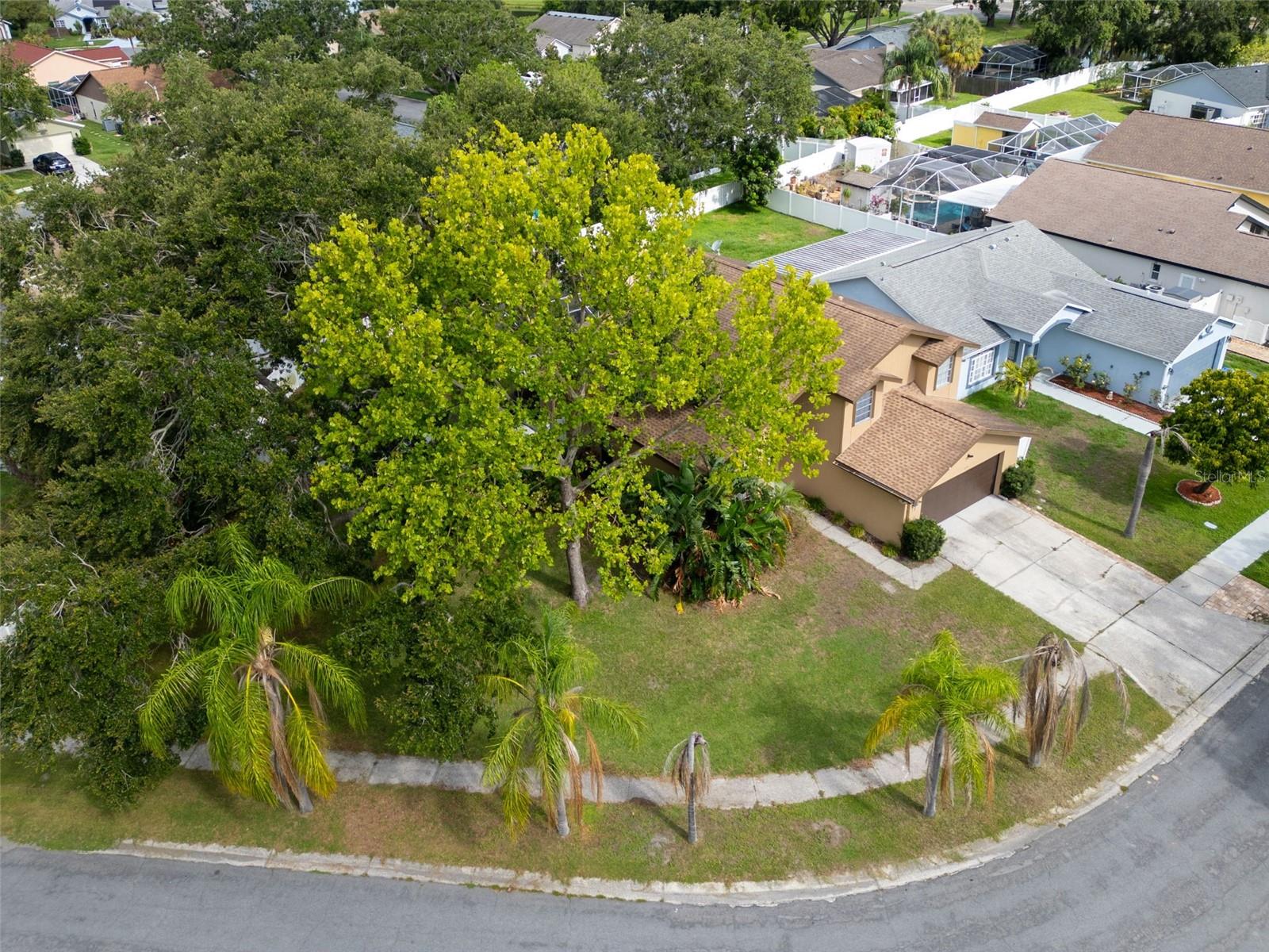 Image 38 of 49 For 1715 Larabie Court