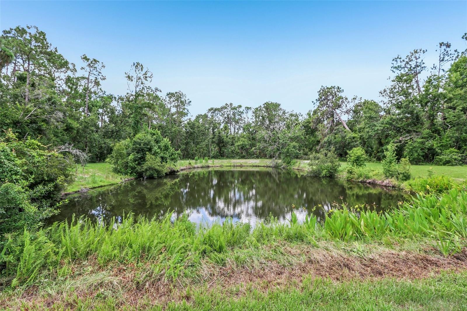 Image 70 of 84 For 10113 Bell Creek Drive