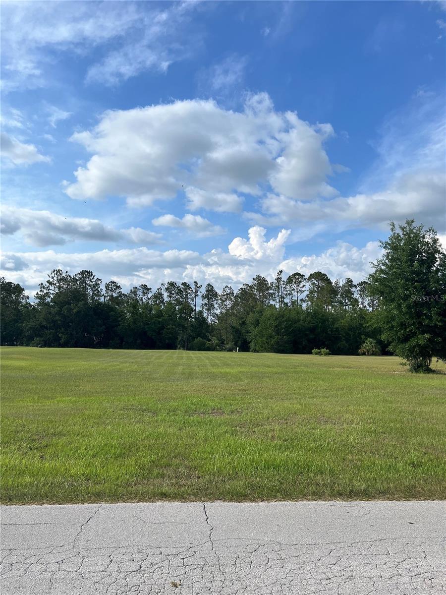 Listing Details for 12940 Curley, SAN ANTONIO, FL 33576