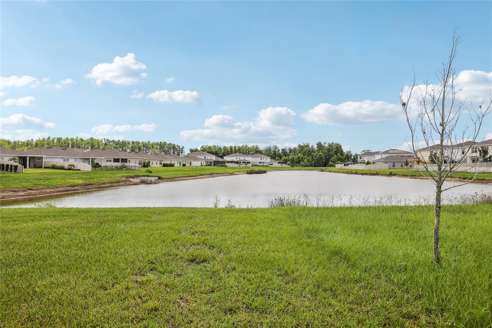 Image 32 of 40 For 10580 Gliding Eagle Way