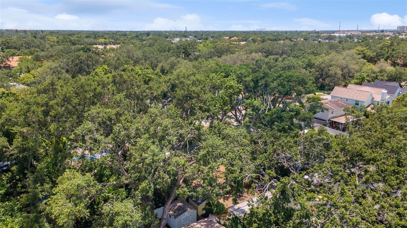 Listing photo id 27 for 3215 Villa Rosa Street