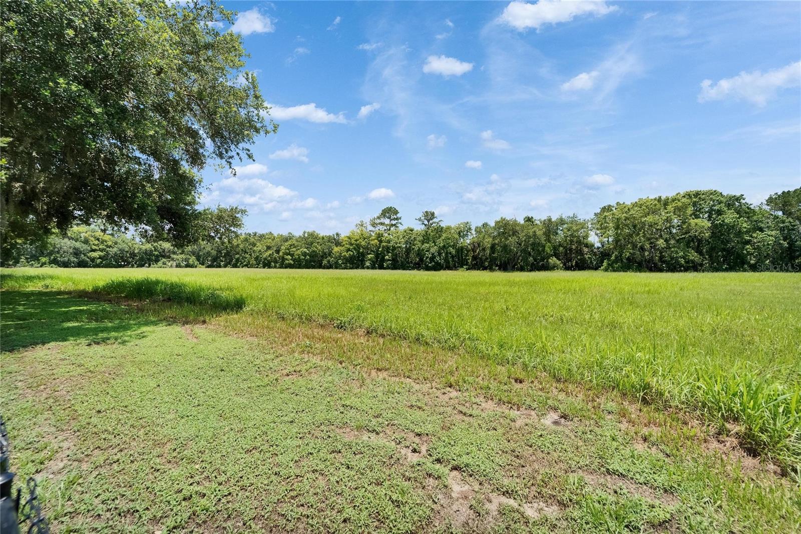 Image 62 of 77 For 2719 Wilder Trace Court