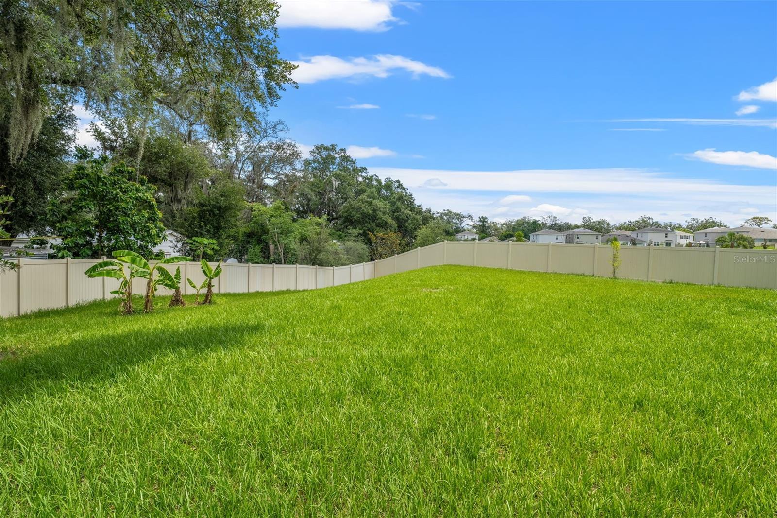 Image 41 of 51 For 10823 Trailing Vine Drive