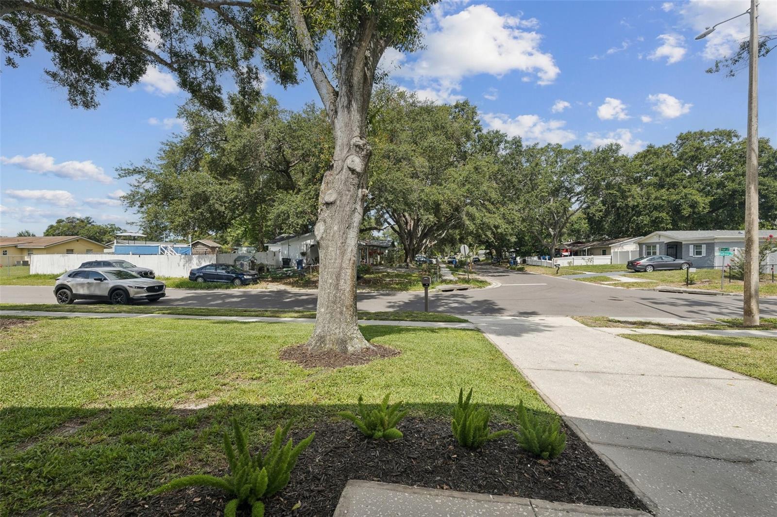 Image 43 of 53 For 2044 Balfour Circle