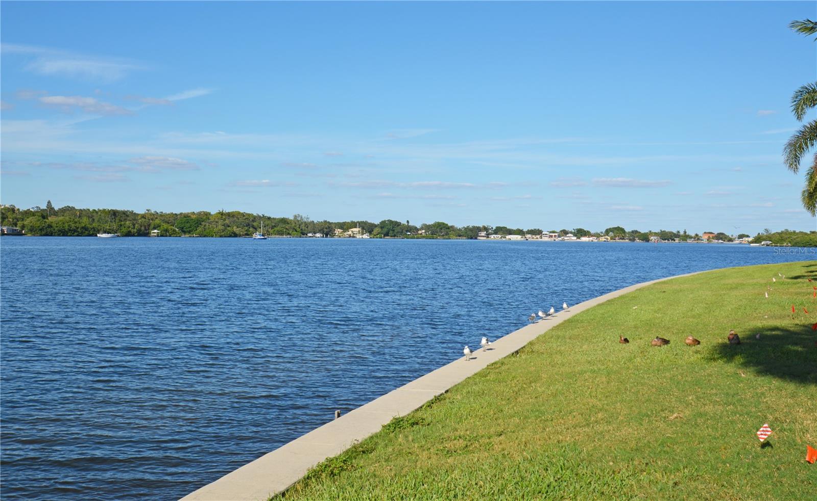 Image 48 of 53 For 204 Pompano Drive Se D