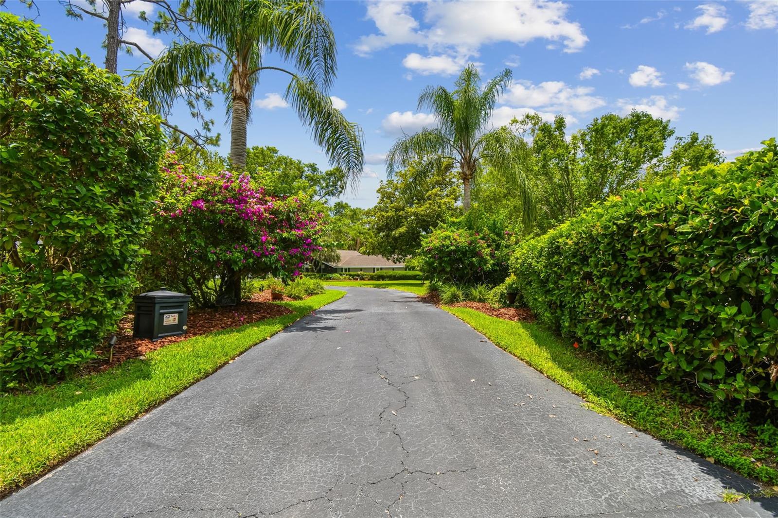Image 5 of 100 For 16205 Sentry Woods Court