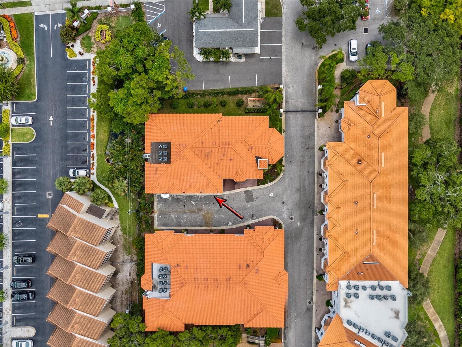Image 51 of 91 For 1340 Bayshore Boulevard 502