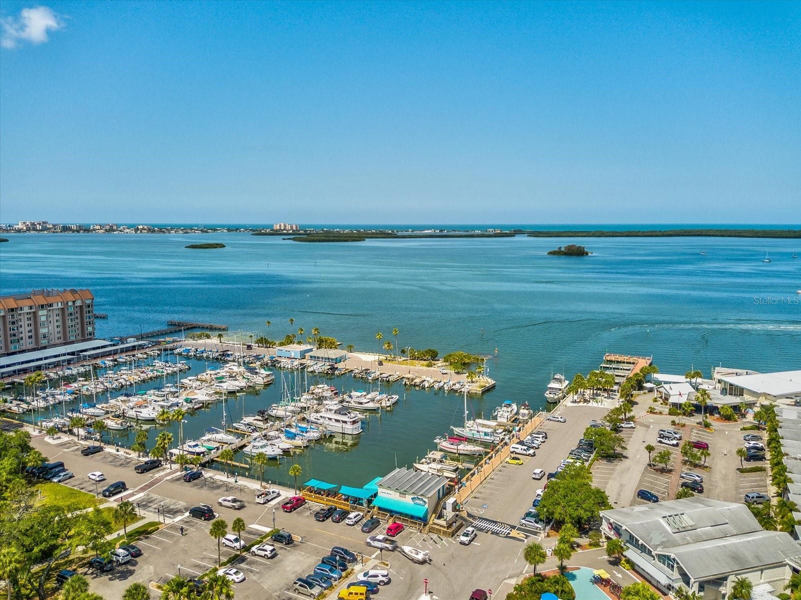 Image 63 of 91 For 1340 Bayshore Boulevard 502