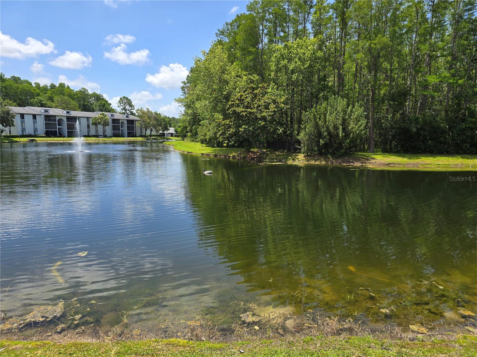 Image 3 of 32 For 1281 Pine Ridge Circle E B1