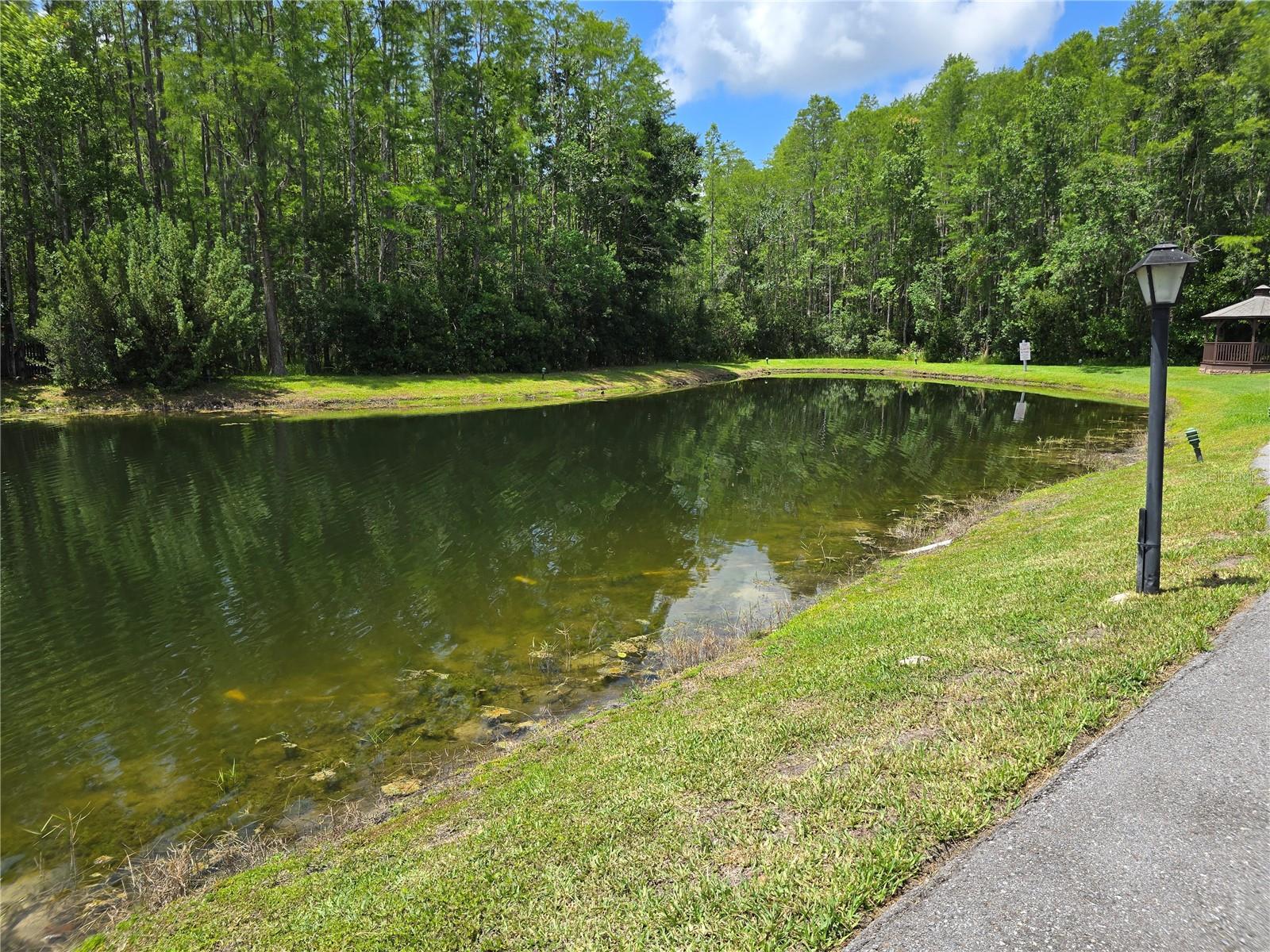 Image 6 of 32 For 1281 Pine Ridge Circle E B1