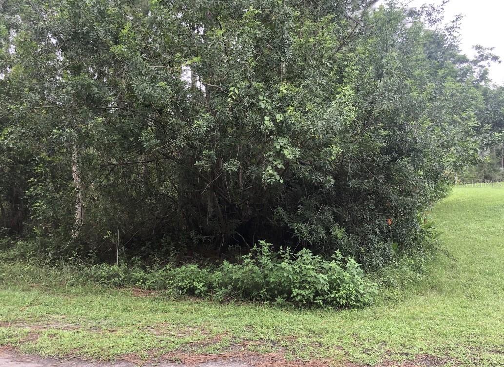 Image 3 of 32 For 24 Amaryllis Drive