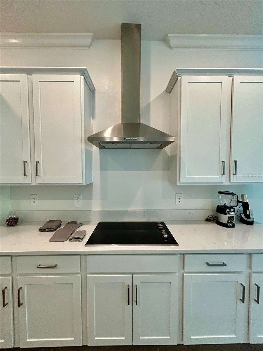 Listing photo id 13 for 10864 Banyan Breeze Boulevard