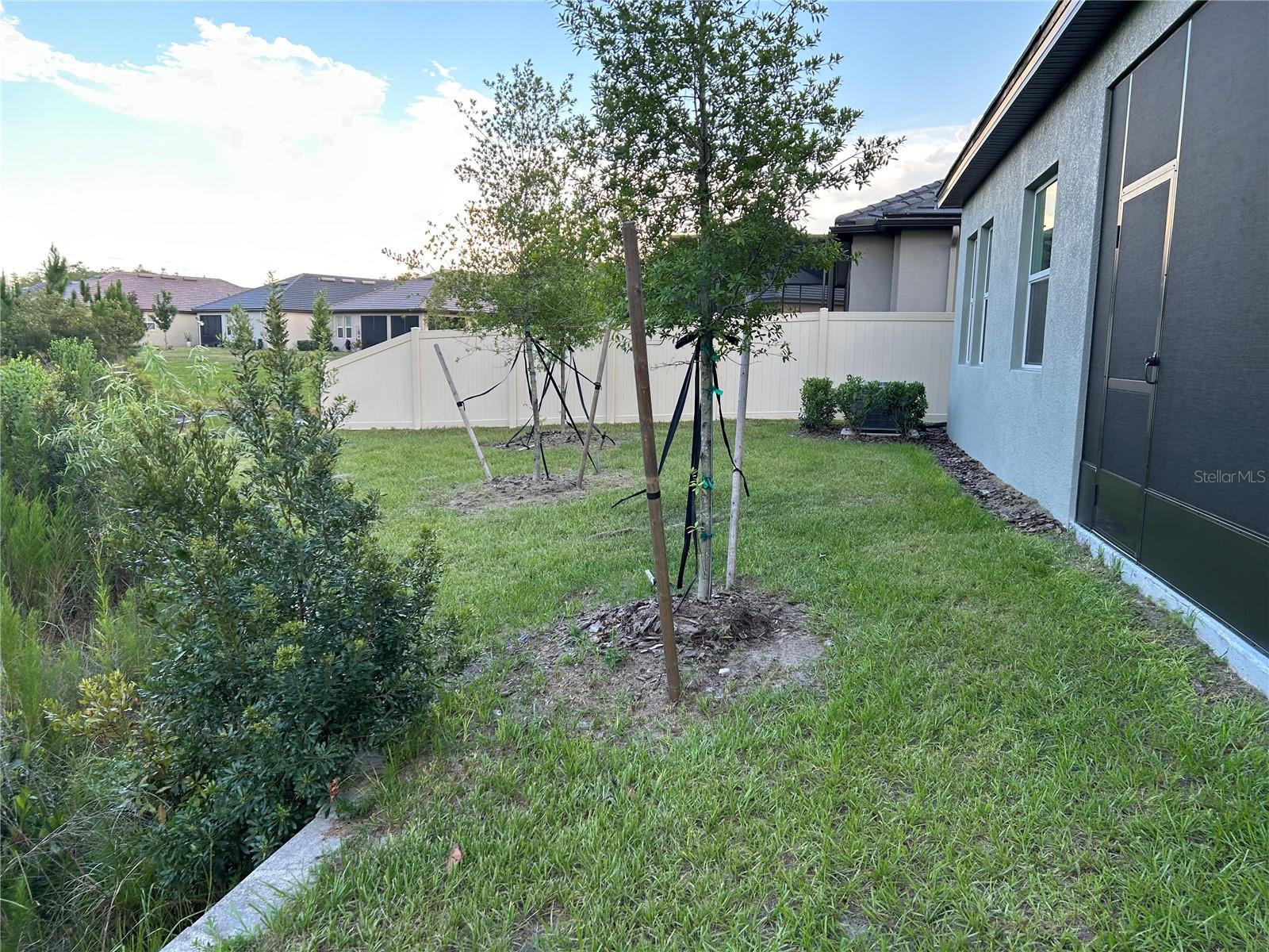 Listing photo id 37 for 10864 Banyan Breeze Boulevard
