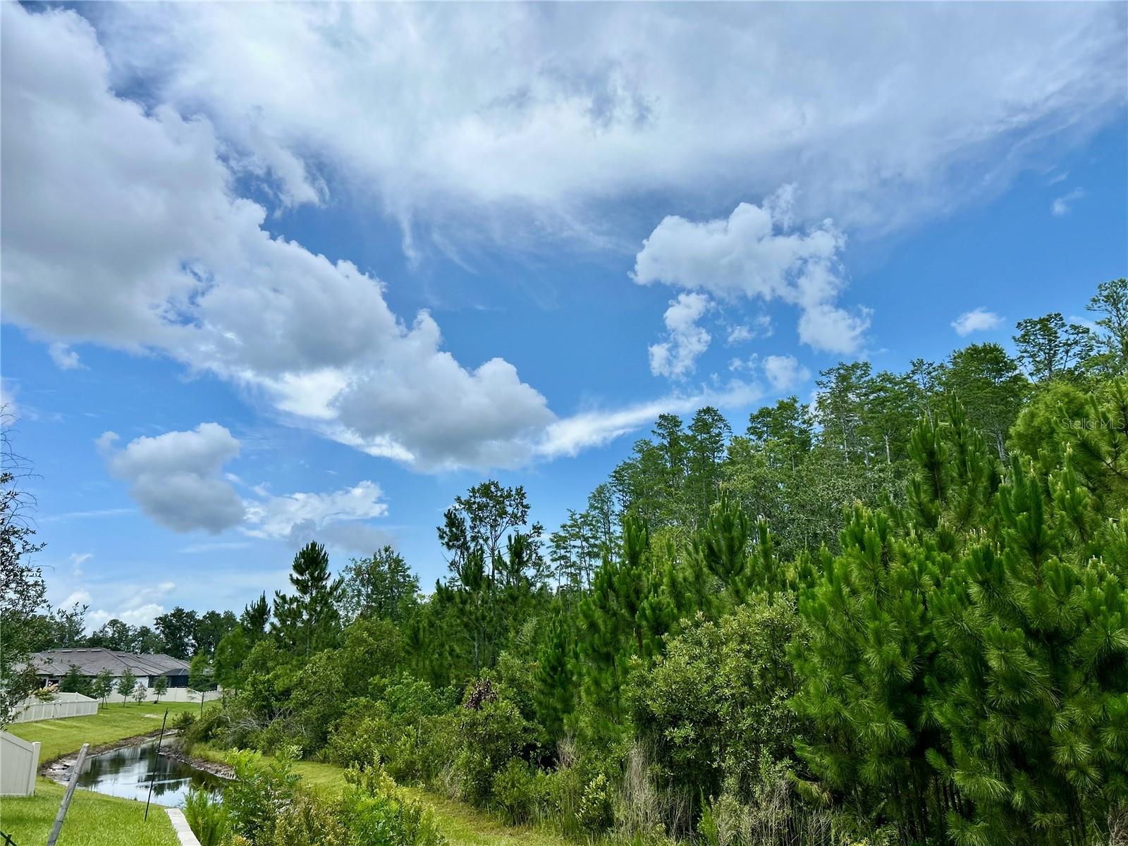 Listing photo id 3 for 10864 Banyan Breeze Boulevard