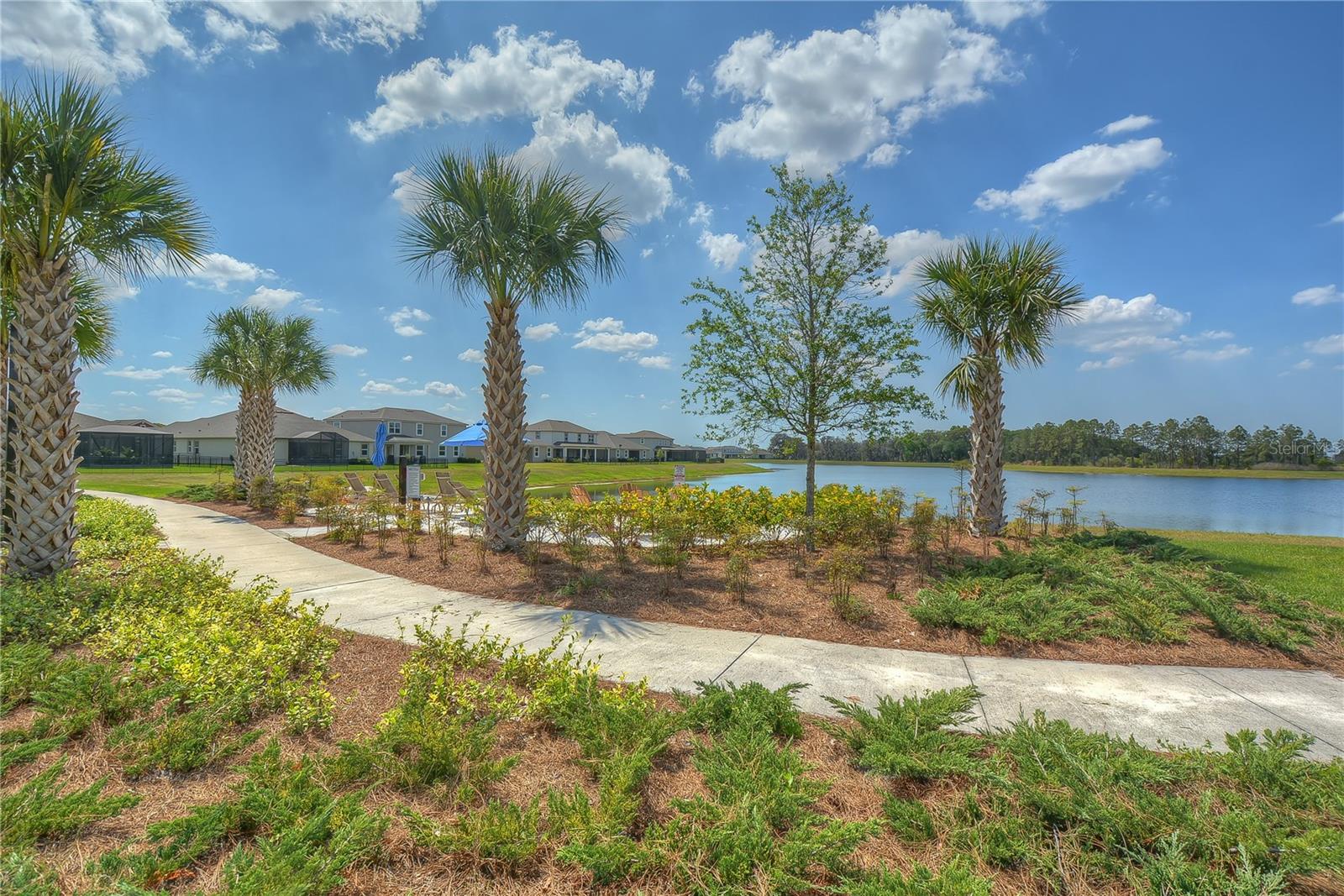 Image 62 of 70 For 11619 Cambium Crown Drive