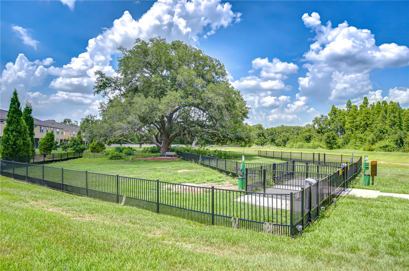 Image 70 of 70 For 11619 Cambium Crown Drive