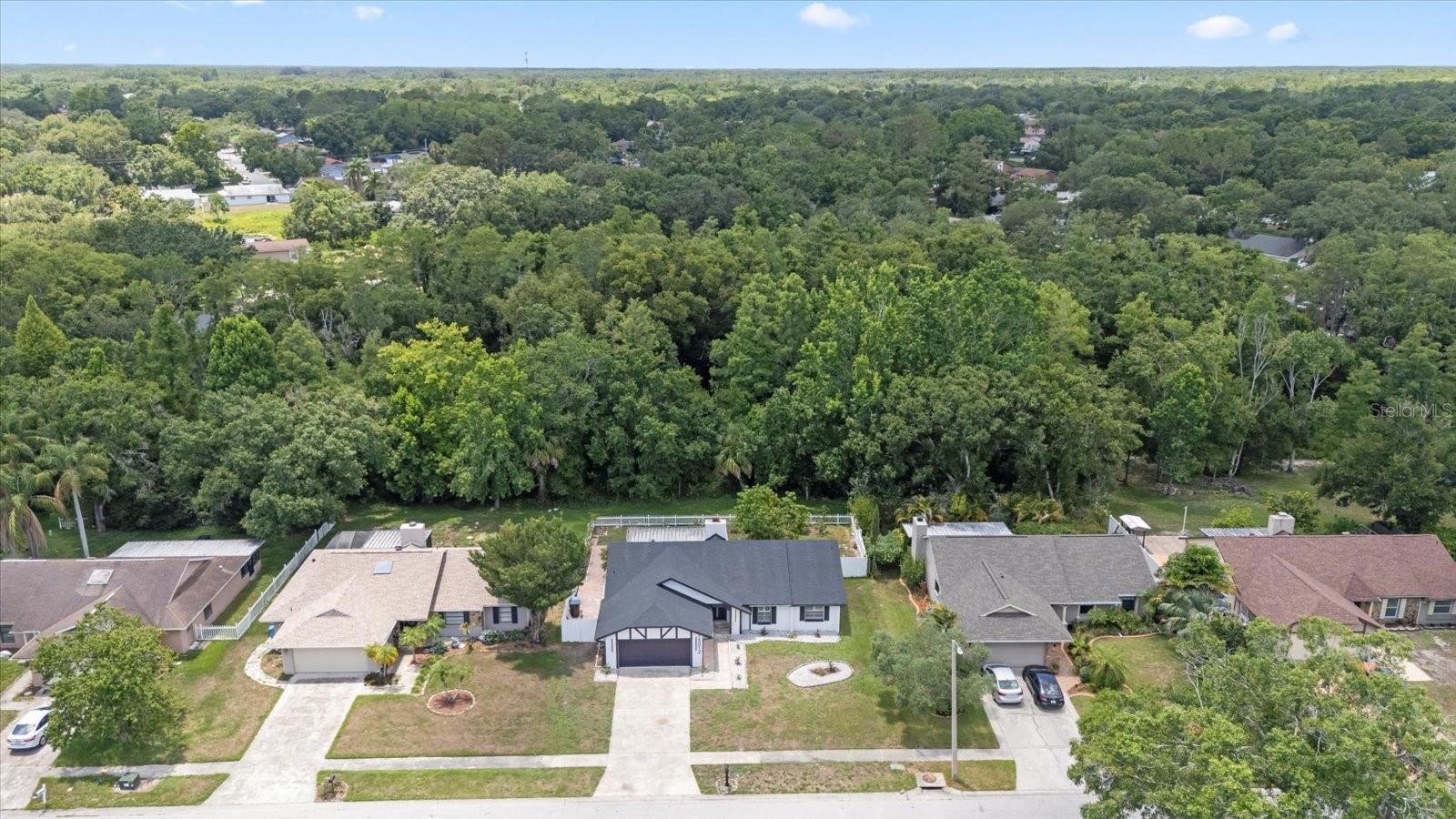 Image 5 of 42 For 15012 Winterwind Drive