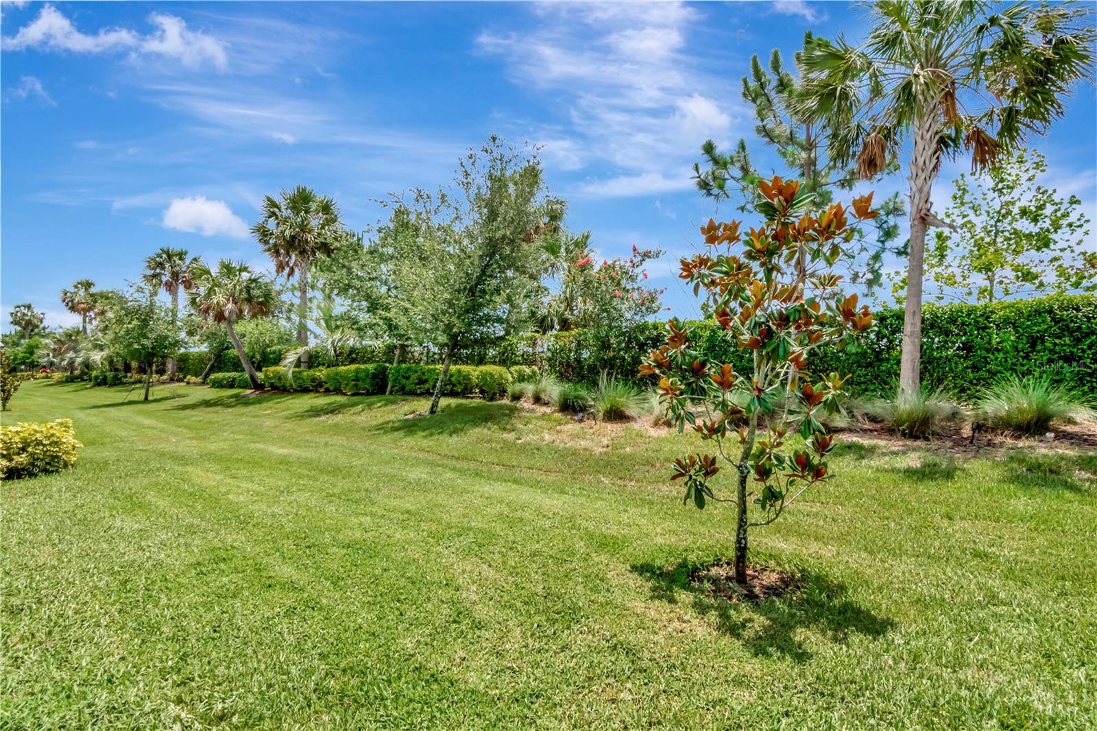 Listing photo id 15 for 3060 Mountain Spruce Terrace