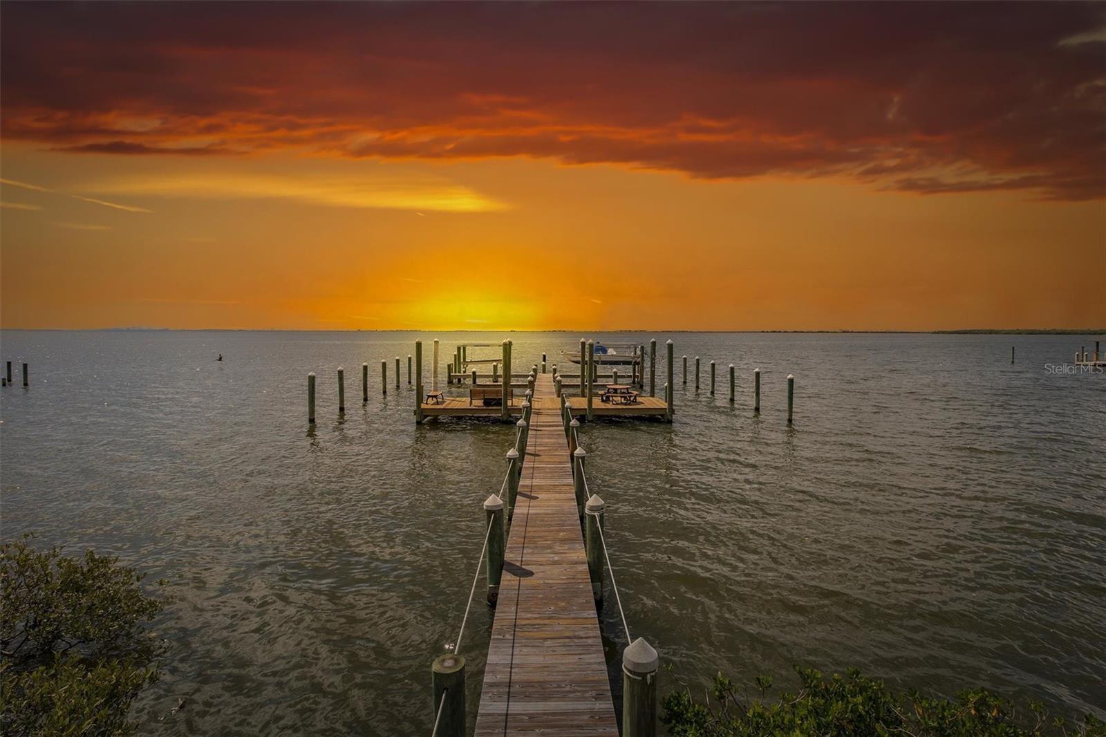 Image 2 of 43 For 413 Bayshore Boulevard 5