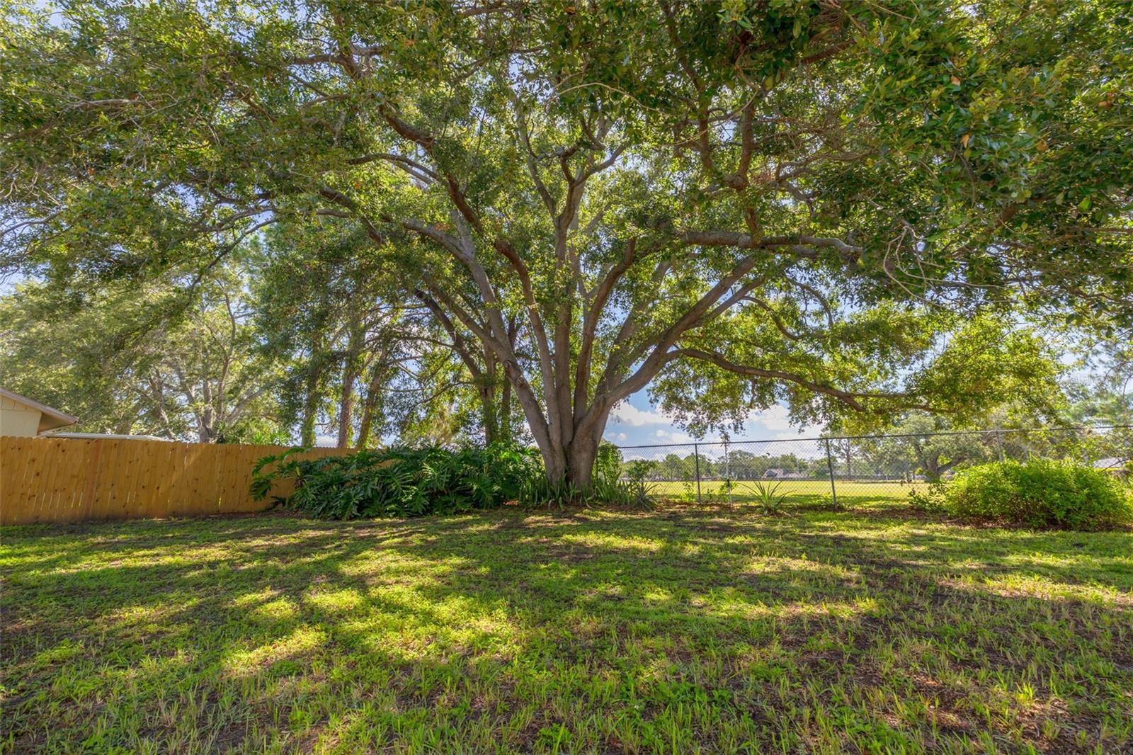Image 28 of 40 For 310 Arbor Drive E