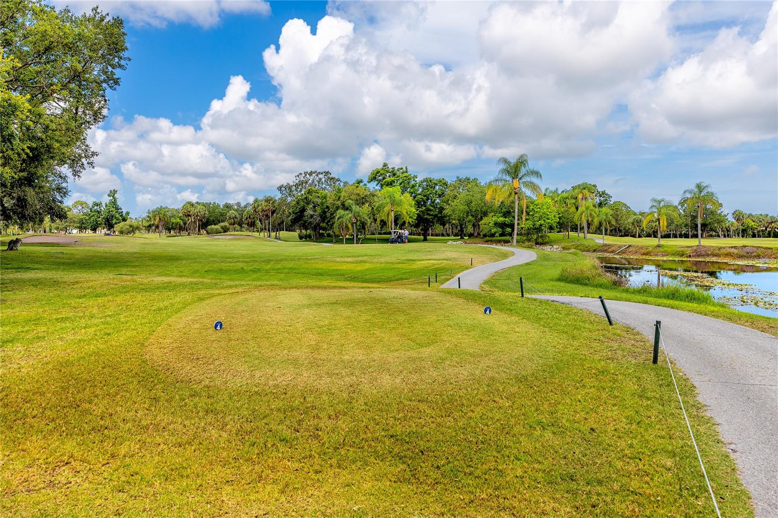 Image 46 of 61 For 2621 Cove Cay Drive 309